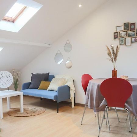 Le Petit Loft, Mulhouse Centre Apartment Ngoại thất bức ảnh