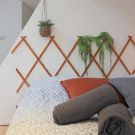 Le Petit Loft, Mulhouse Centre Apartment Ngoại thất bức ảnh