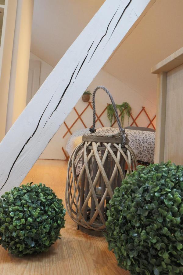 Le Petit Loft, Mulhouse Centre Apartment Ngoại thất bức ảnh