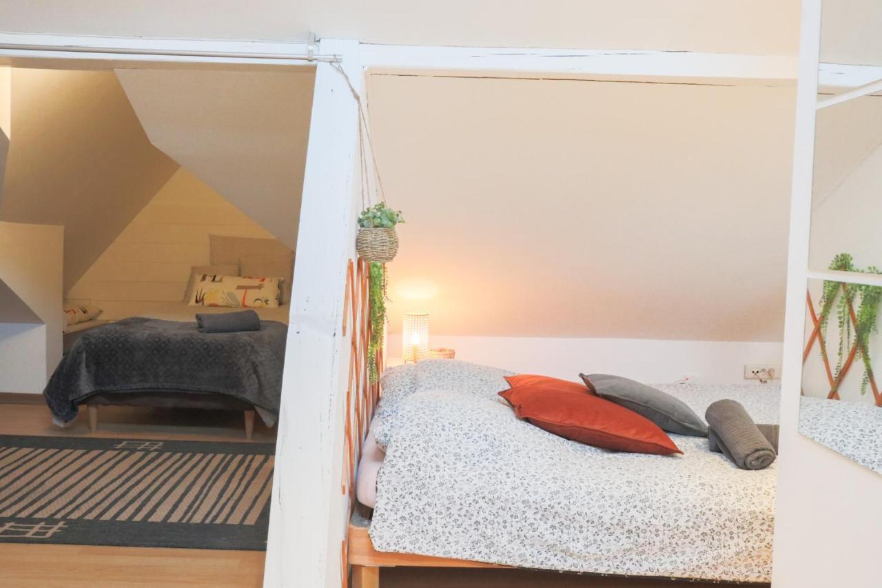 Le Petit Loft, Mulhouse Centre Apartment Ngoại thất bức ảnh