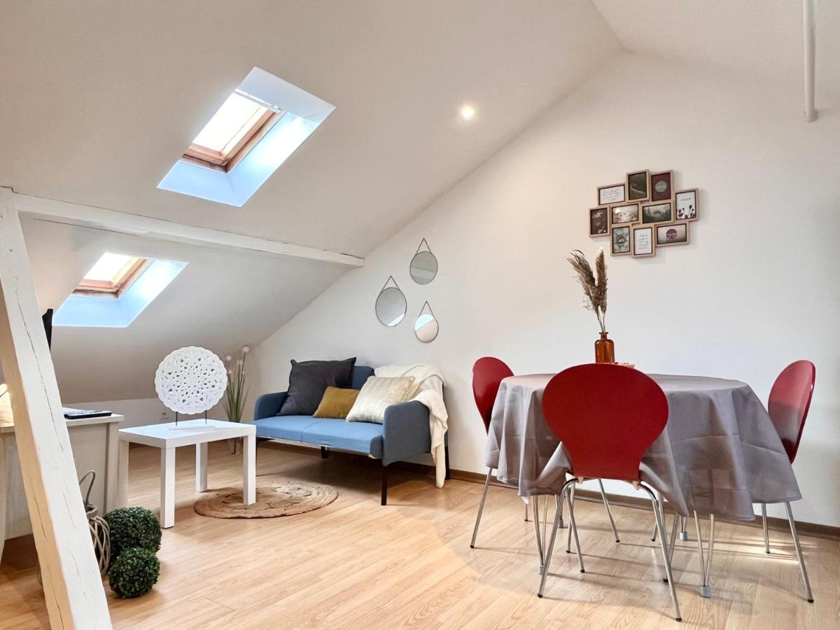 Le Petit Loft, Mulhouse Centre Apartment Ngoại thất bức ảnh