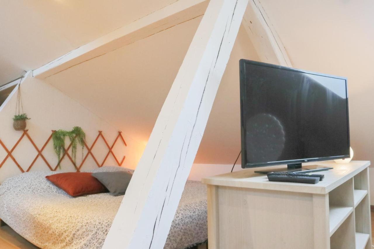 Le Petit Loft, Mulhouse Centre Apartment Ngoại thất bức ảnh