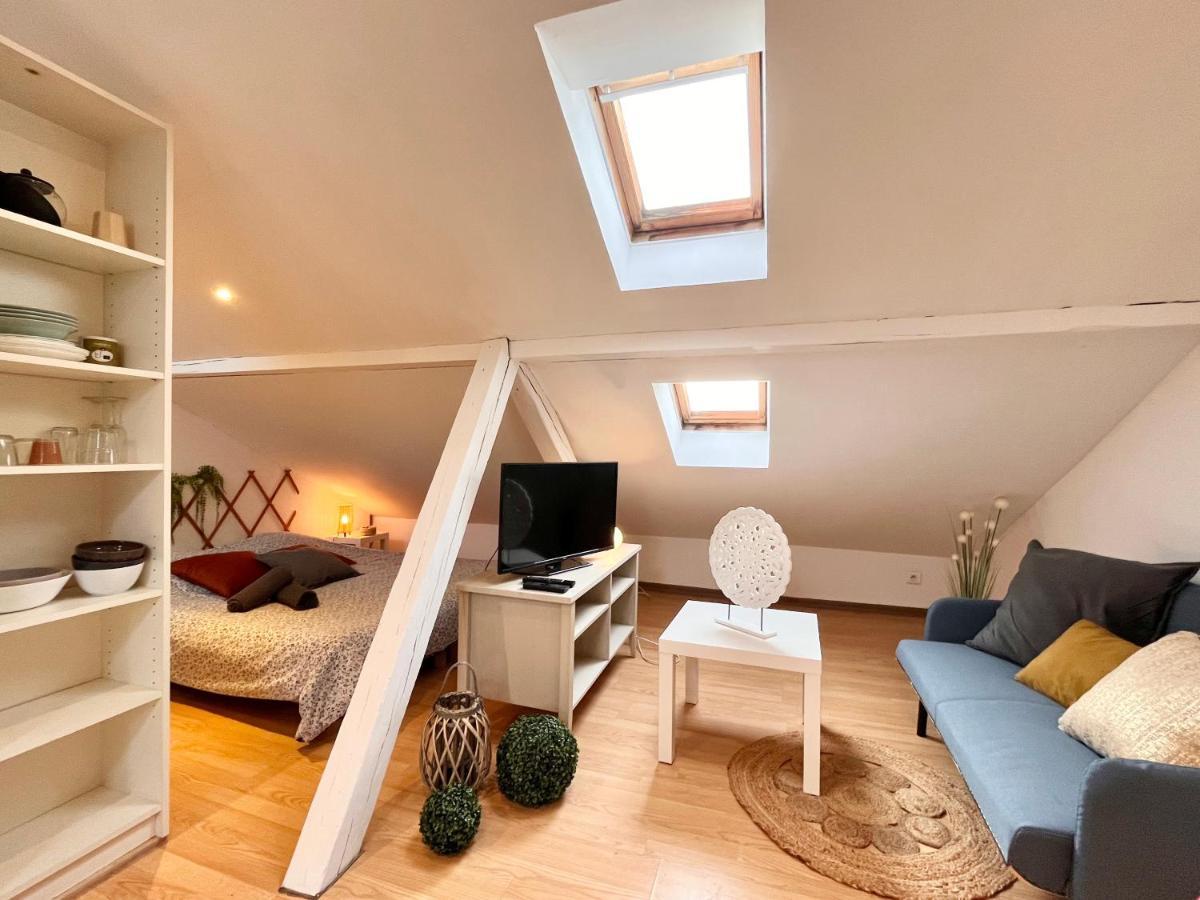 Le Petit Loft, Mulhouse Centre Apartment Ngoại thất bức ảnh