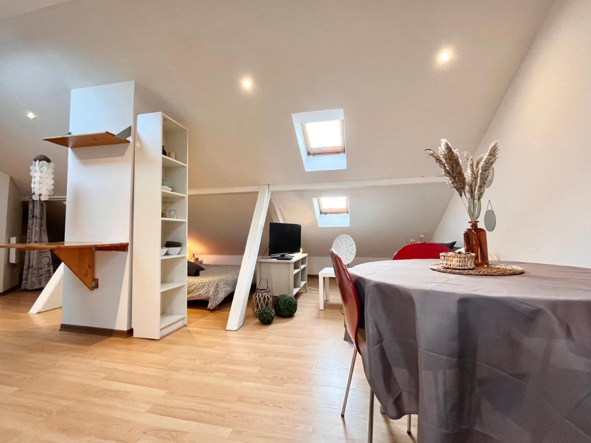 Le Petit Loft, Mulhouse Centre Apartment Ngoại thất bức ảnh