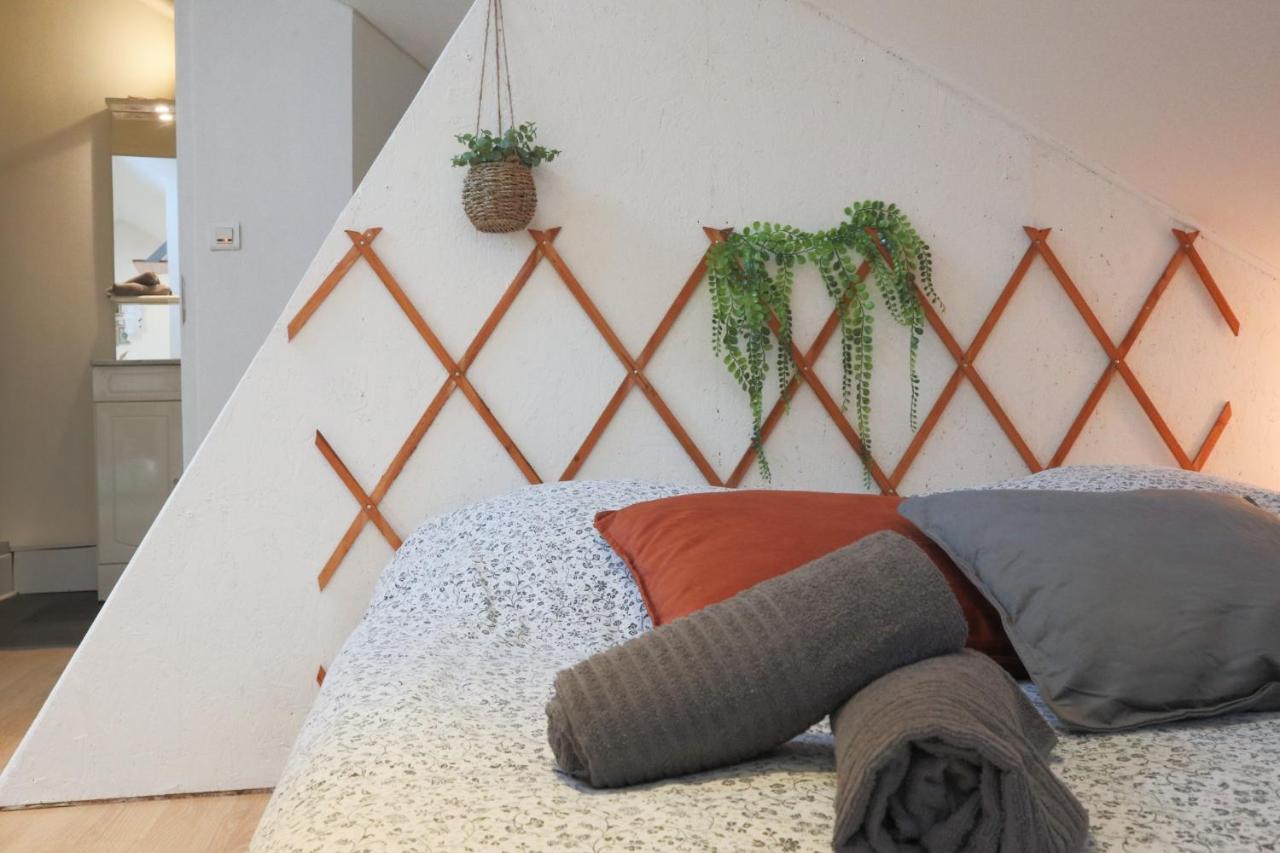 Le Petit Loft, Mulhouse Centre Apartment Ngoại thất bức ảnh