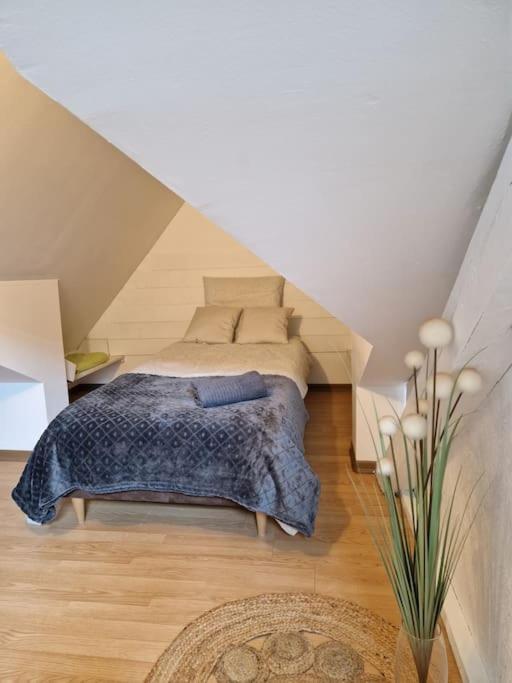 Le Petit Loft, Mulhouse Centre Apartment Ngoại thất bức ảnh
