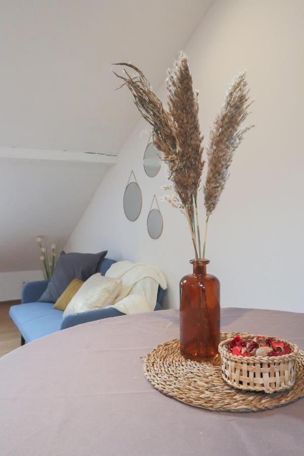 Le Petit Loft, Mulhouse Centre Apartment Ngoại thất bức ảnh