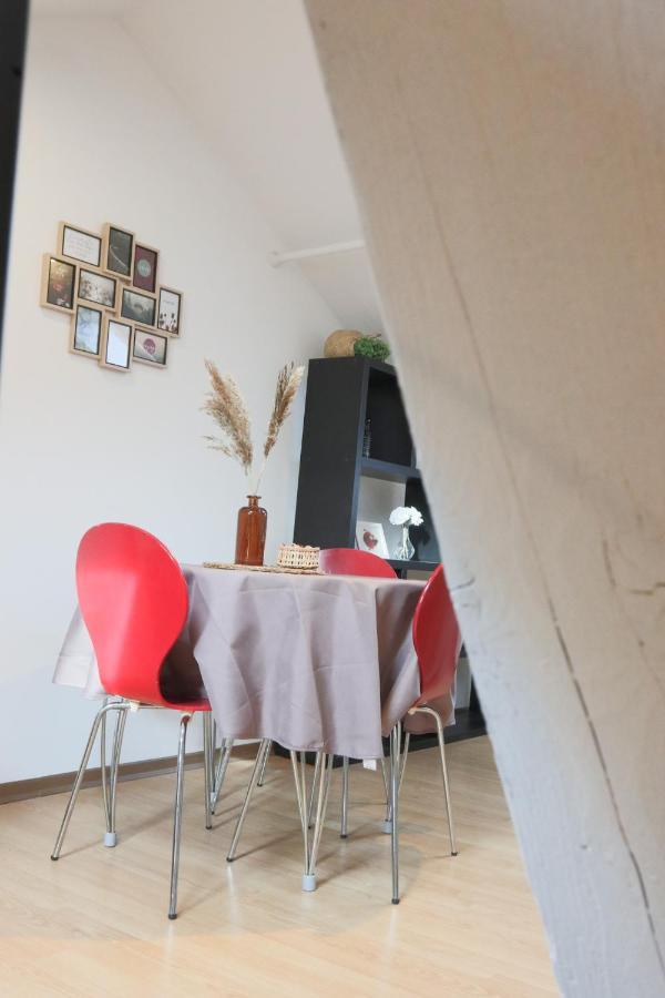 Le Petit Loft, Mulhouse Centre Apartment Ngoại thất bức ảnh