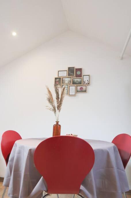 Le Petit Loft, Mulhouse Centre Apartment Ngoại thất bức ảnh