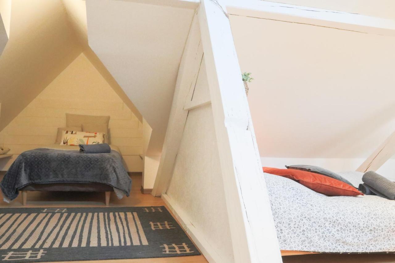 Le Petit Loft, Mulhouse Centre Apartment Ngoại thất bức ảnh