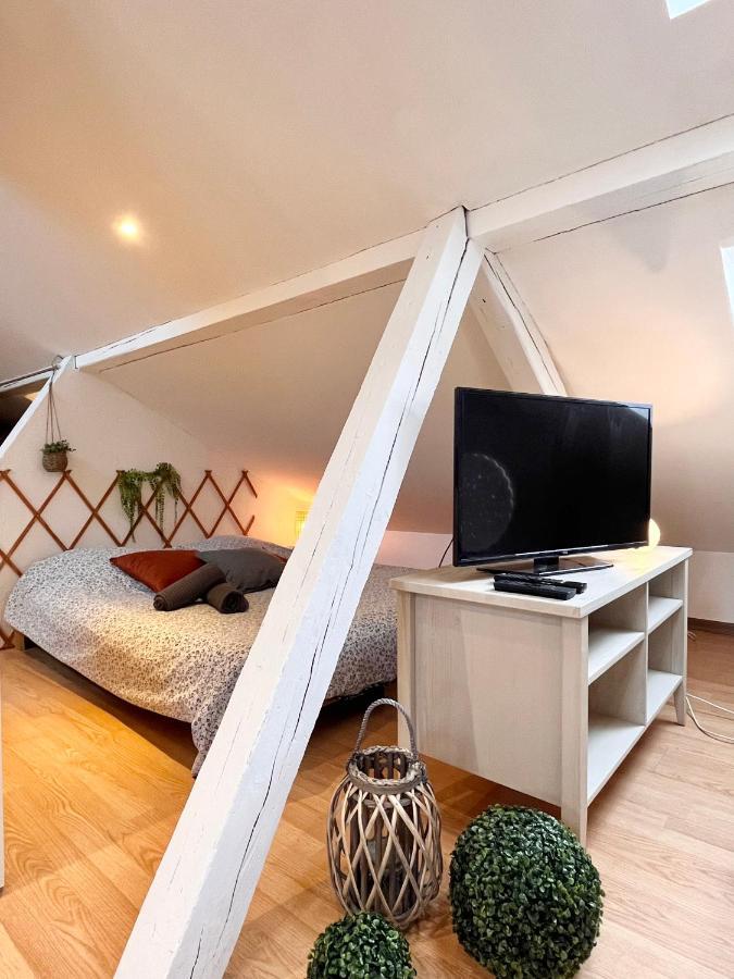 Le Petit Loft, Mulhouse Centre Apartment Ngoại thất bức ảnh